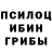 Псилоцибиновые грибы Psilocybe Bounkerd Lachanthavong