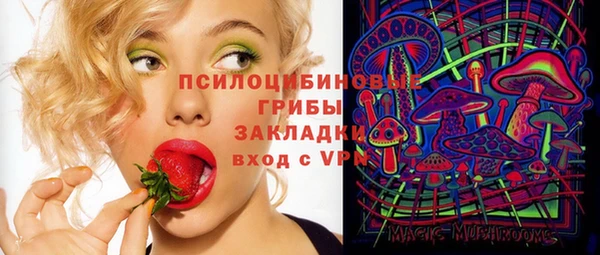 хмурый Инта