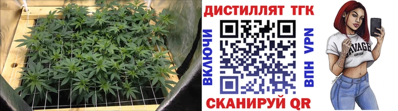 дарнет шоп  Абаза  ТГК гашишное масло 